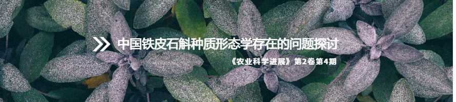 中国铁皮石斛种质形态学存在的问题探讨